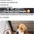 Don T Check The Sound Funny Memes