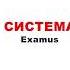 Портал Exams Sfedu Ru Видеоинструкция