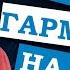 Паша гармонист Уходил гармонист на войну С Днем Победы