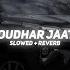 Choudhar Jaat Ki Slowed Reverb Raju Punjabi BARATO NATION