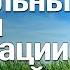 Природные и социальные законы организации поселений