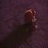 Mario Faced His FINAL Game Over Supermario Mariomovie Supersmashbros Ssbu Nintendo