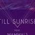 Goldroom Till Sunrise Feat Mammals New Arcades Remix