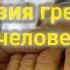 Значение болезни и смерти человека Григорий Нисский