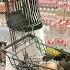 Too Big To Carry In A Shopping Cart Too Heavy To Hold Dad With Kid Unexpected Ending Funny Vid