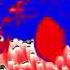Barracuda Attack 4 Effects 2