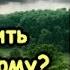 Как увеличить количество спермы
