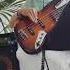 Waves Of Blue Bass Cover Aron The Bassist Majid Jordan Music Dose Shorts Bass Groove Guitar