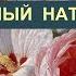 Голландский Цветочный Натюрморт