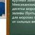 География Онлайн урок Мировой океан 6 класс