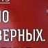 ЛИТУРГИКА Начало Литургии верных Великий вход Священник Александр Сатомский