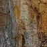 Astrality Thandi Times Are Changing Extended HD