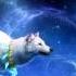 White Fox Oblivion