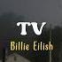 TV Billie Eilish Speed Up Lyrics Terjemahan