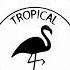 HP Vince Love Yes TROPICAL DISCO RECORDS Nu Disco Indie Dance