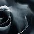 Relaxing Dark Romantic Music Black Rose 290 Spooky Gothic