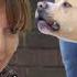 Luca The Not So Brave Bulldog Full Episode It S Me Or The Dog