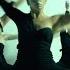 Troyboi Say Yeah Dance Video