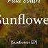 Paul Solari Sunflower