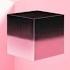 BLACKPINK Forever Young Instrumental