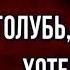 Голубь который хотел пить Басня Эзопа читает Павел Беседин