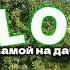 VLOG с мамой на даче КРАСИВЫЕ ВИДЫ ЛЕТНИЙ ВАЙБ