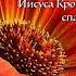 Иисуса Кровь сильна спасти от смерти Елена Ваймер