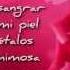 Mecano Una Rosa Es Una Rosa CON LETRA