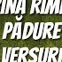 Irina Rimes Pădure Versuri Lyrics Video EP Ul Origini