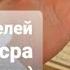 Священный Коран Дуа за родителей Сура Аль Исра Ночной перенос 24 ый Аят