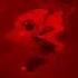 REQUESTED Gummy Bear Rhythm Is A Dancer In G Major 3 FIXED