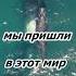 Мы пришли в этот мир ради самой жизни Ошо