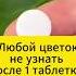 Любой цветок преобразится после этого сад комнатныерастения подкормка цветы