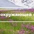 Гроза за окном спальни
