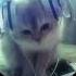 ʚ ɞ Missing Kitty Kreayshawn Sped Up