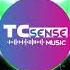 Blind Your Mind Original Techno Electronic Electromusic Techno