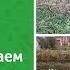 Как мы восстанавливаем плодородие