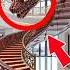 Which Weird Staircase Would You Choose