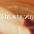 Shawn Mendes Why Why Why Official Lyric Video