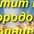 Светит над городом летнее солнце