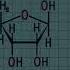 Bioquímica Via Das Pentoses Nucleotídeos E Purinas Áudio Ruim