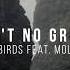 Ain T No Grave Cageless Birds Feat Molly Skaggs Official Lyric Video