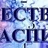 Что нужно знать о Божественном Расписании Близнецовые Пламена