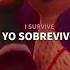 Survivor Jhon Powell Sub Español Lyrics Film Versión Ducks In Migration