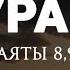 Сура 63 Лицемеры аяты 8 9 Чтец Мухаммад Тарик