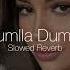 Dumlla Dumlla Dafina Zeqiri Dystinct Slowed Reverb