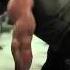 Branch Warren Back Workout Arnold Classic 2012