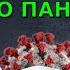 Скоро голод Границы закроют Мобилизация Предсказания карт ТАРО на осень 2024