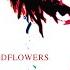 Bloodflowers