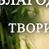 Благодарность творит чудеса 5 причин почему тяжело благодарить Сад благодарности Юдит Беленький